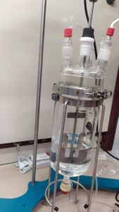progetto STEM