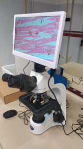 progetto STEM